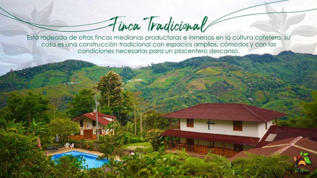 Гостевой дом Finca Tradicional El Otono Пихао Экстерьер фото