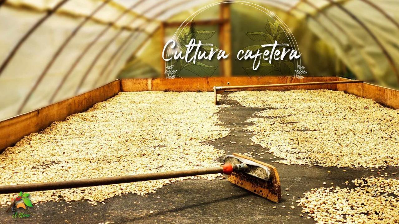 Finca Tradicional El Otono Пихао Экстерьер фото