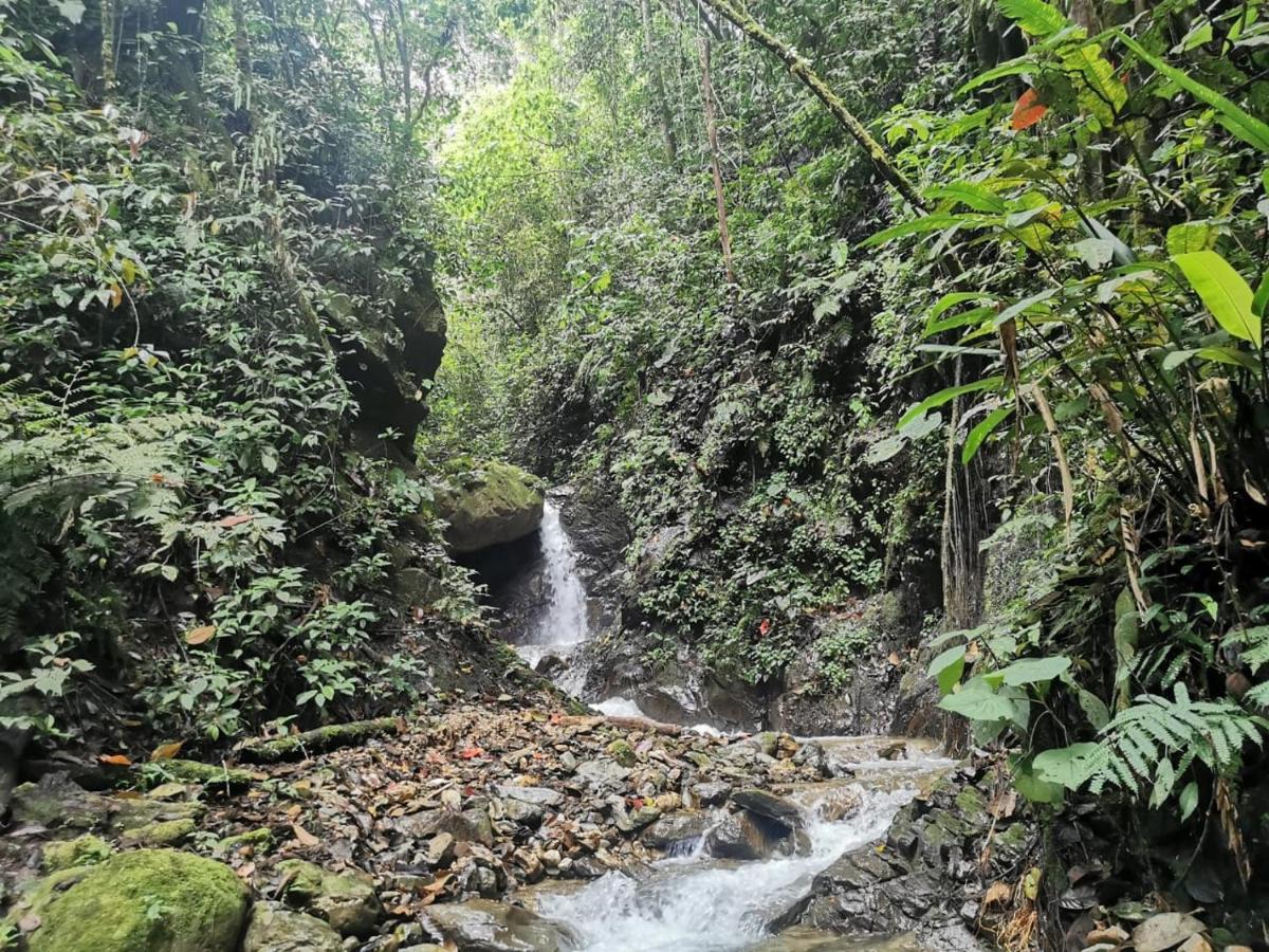 Гостевой дом Finca Tradicional El Otono Пихао Экстерьер фото