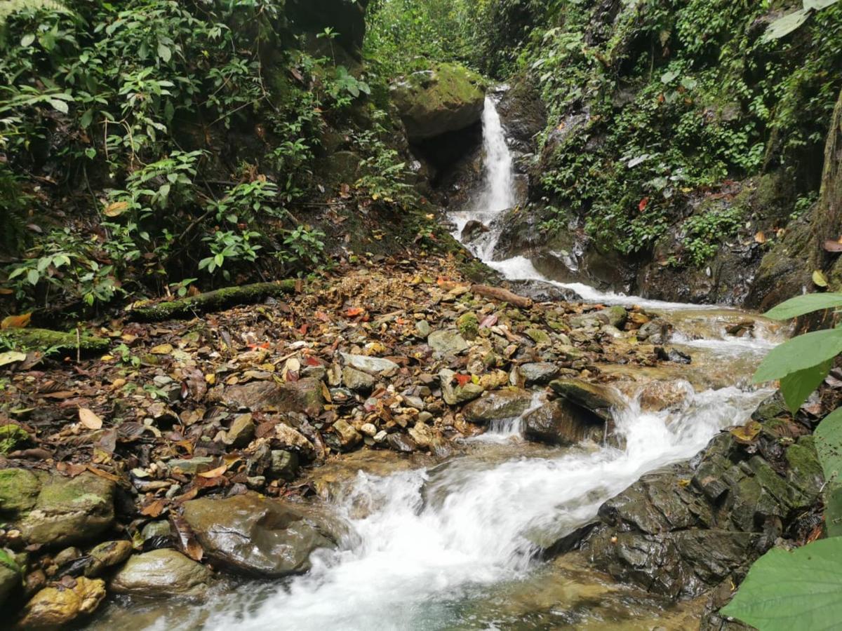 Гостевой дом Finca Tradicional El Otono Пихао Экстерьер фото