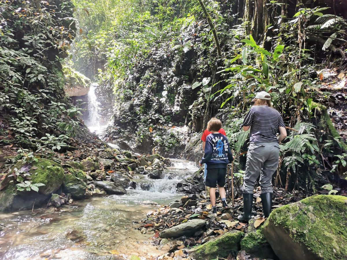 Finca Tradicional El Otono Пихао Экстерьер фото