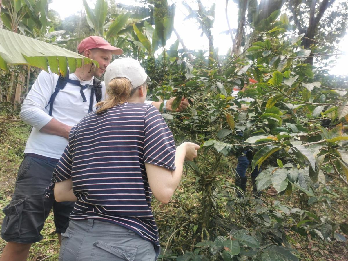 Гостевой дом Finca Tradicional El Otono Пихао Экстерьер фото