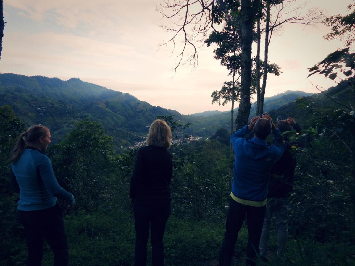 Гостевой дом Finca Tradicional El Otono Пихао Экстерьер фото