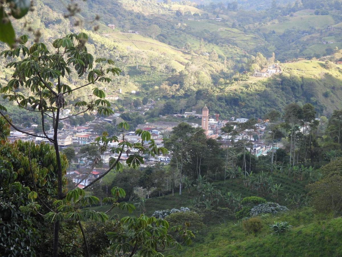 Гостевой дом Finca Tradicional El Otono Пихао Экстерьер фото