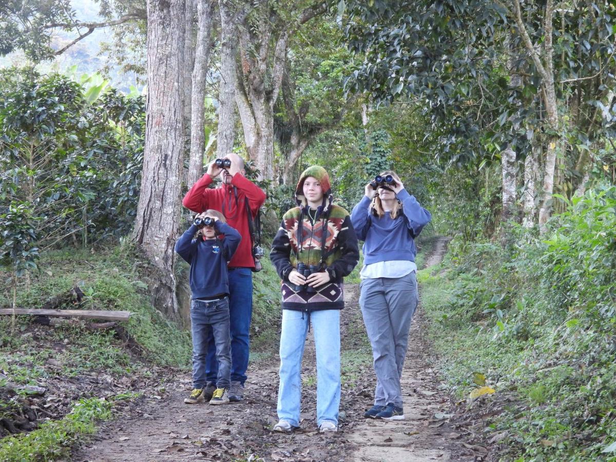 Гостевой дом Finca Tradicional El Otono Пихао Экстерьер фото