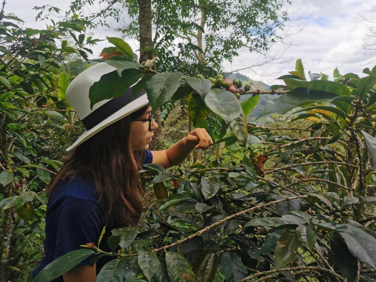 Гостевой дом Finca Tradicional El Otono Пихао Экстерьер фото