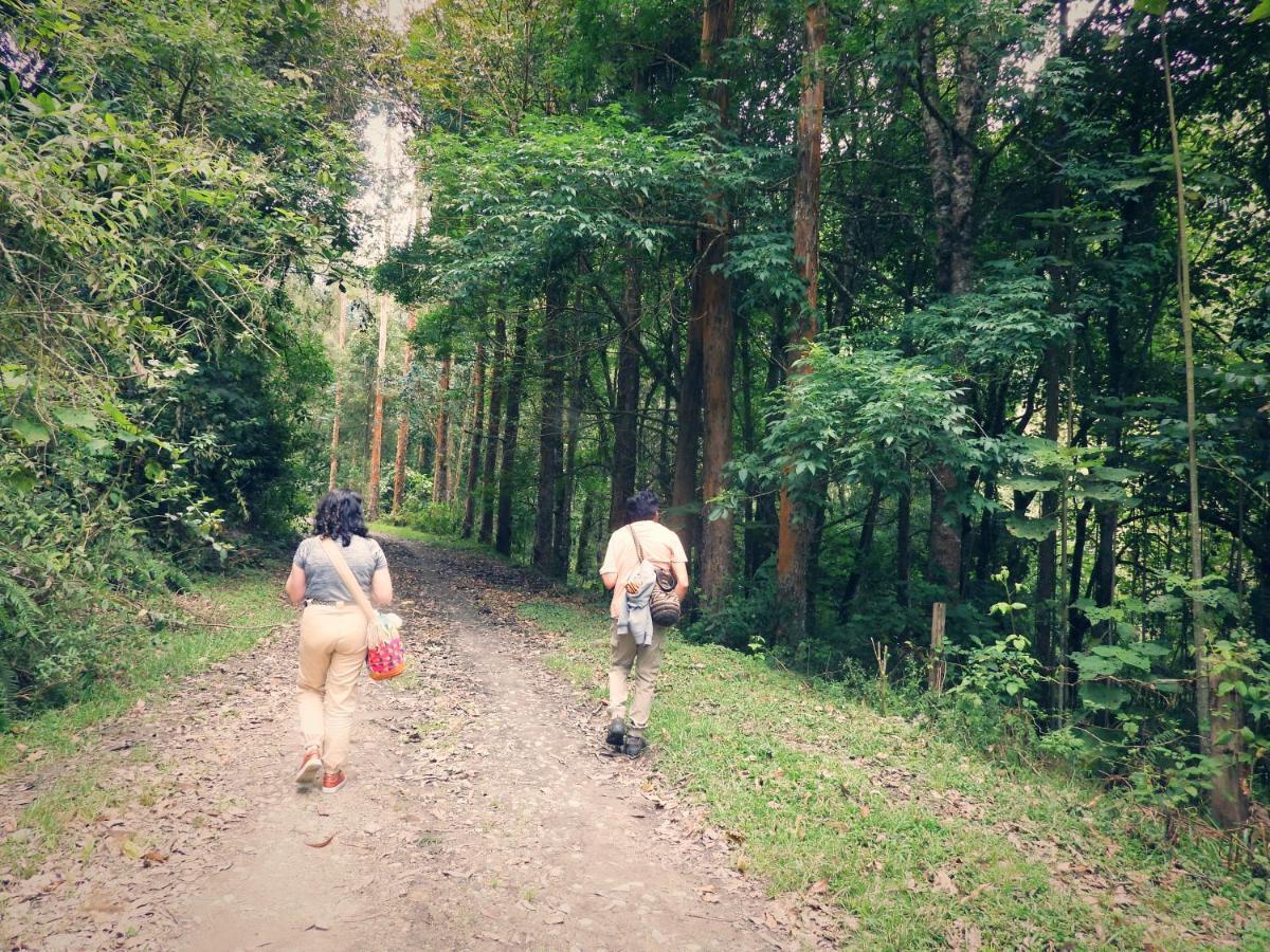 Finca Tradicional El Otono Пихао Экстерьер фото